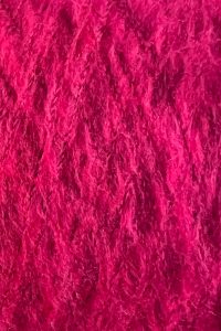 Fuchsia C